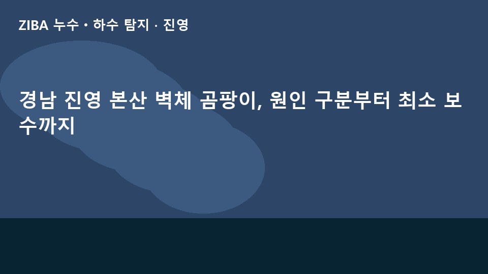 경남 진영 본산 벽체 곰팡이, 원인 구분부터 최소 보수까지