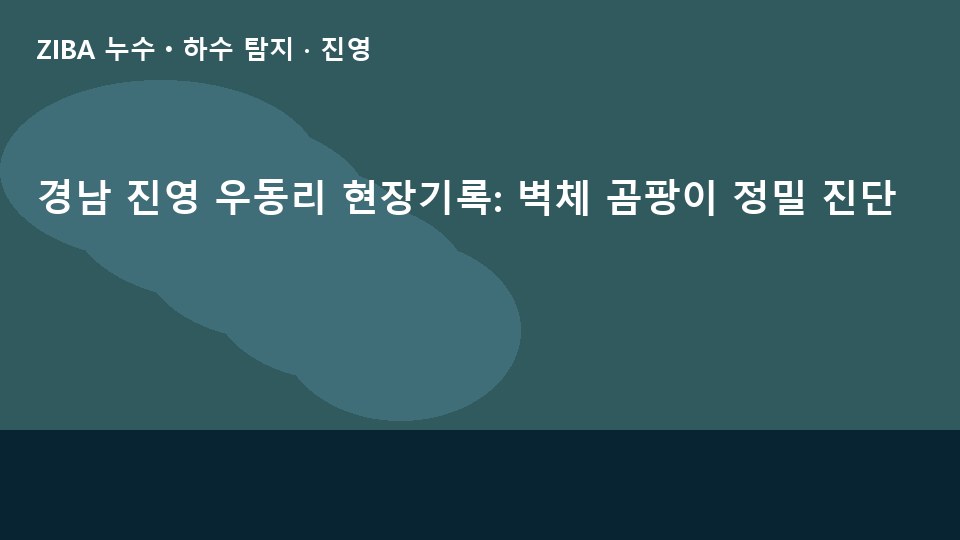 경남 진영 우동리 현장기록: 벽체 곰팡이 정밀 진단